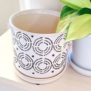 NWT Neutral Dot Planter